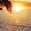 Sunset over the sea, framed by palm fronds